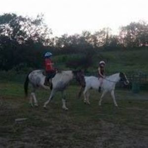 Meet your Posher, Cierra